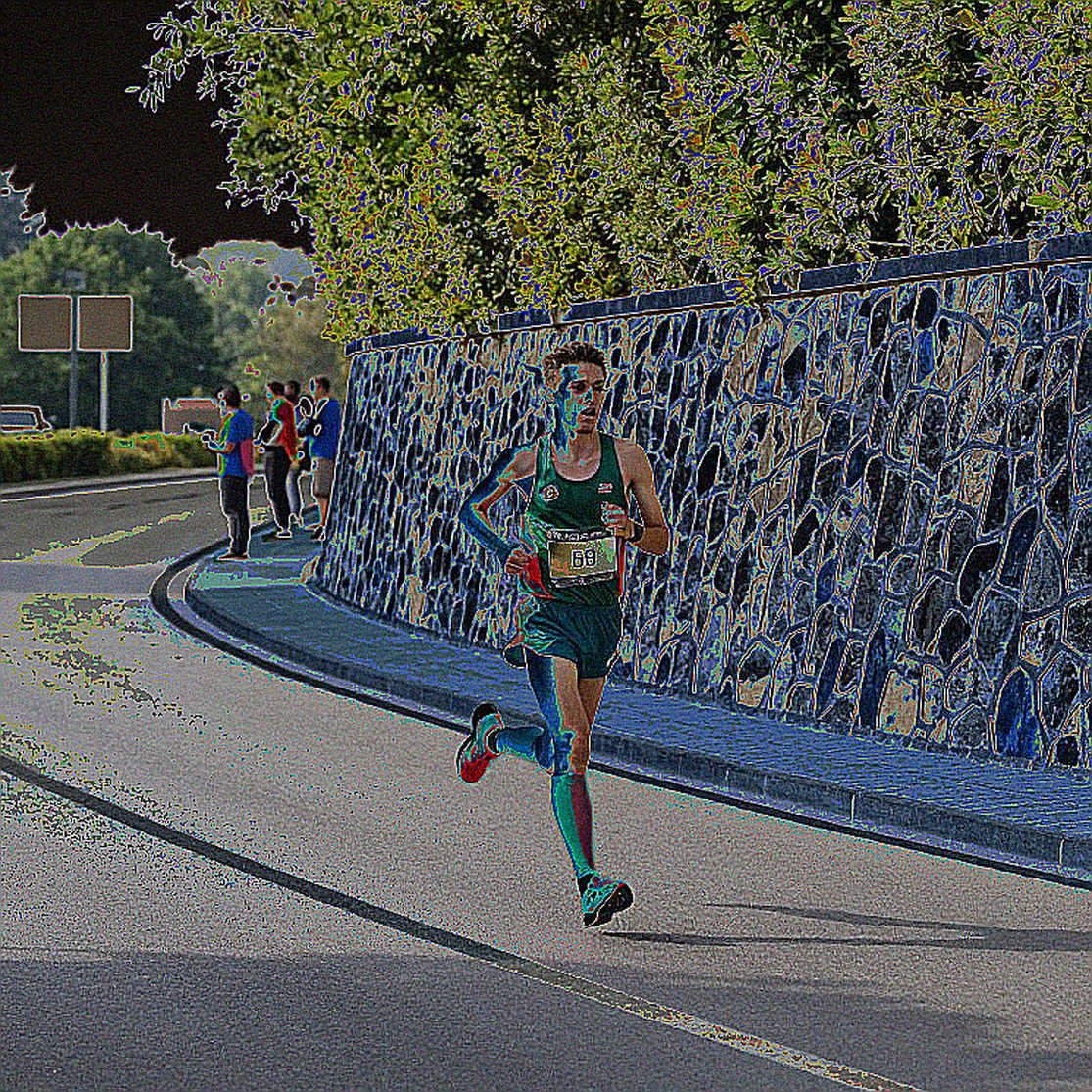 Giải chạy HDBank Green Marathon 2026: Lớp trầm tích làng chạy Việt Nam giữa rừng ngập mặn Cần Giờ