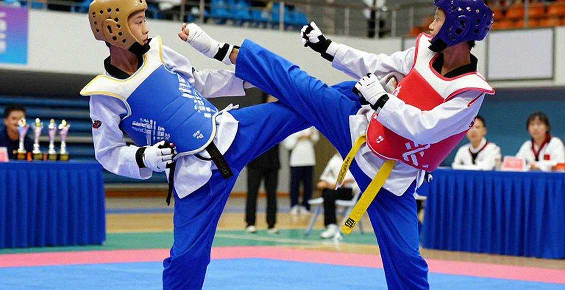Injury in Vietnamese Martial Arts: Competition Density Is the Culprit, Not the Collision Injury in Vietnamese Martial Arts: Competition Density Is the Culprit, Not the Collision